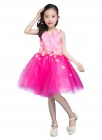 Emondora Little Big Girls' short Dress Flowers Girl Brithday Party Dress
